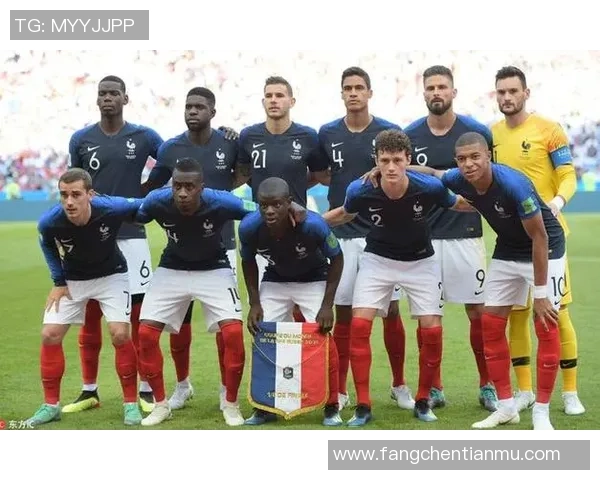 法国足球队拥有哪些世界级球星及其成就分析