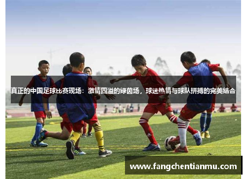 真正的中国足球比赛现场：激情四溢的绿茵场，球迷热情与球队拼搏的完美结合