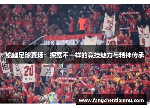 锦鲤足球赛场：探索不一样的竞技魅力与精神传承